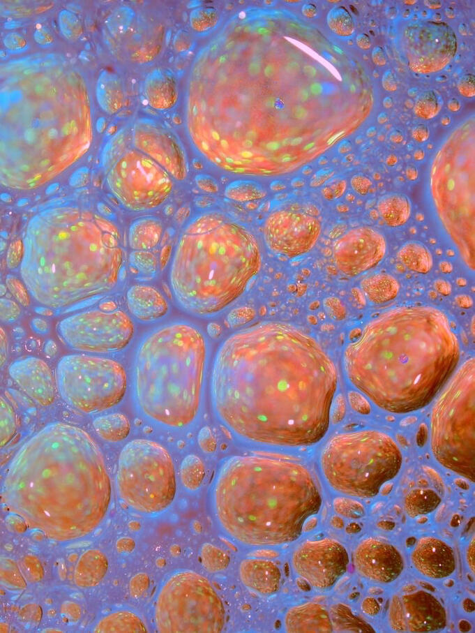 ’Aqua Regia’, 2023